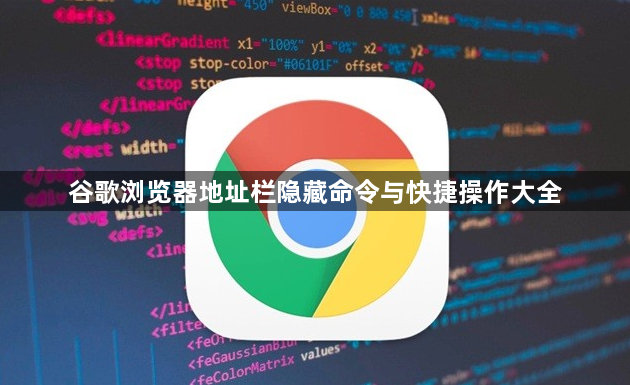 谷歌浏览器地址栏隐藏命令与快捷操作大全1