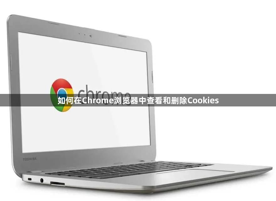 如何在Chrome浏览器中查看和删除Cookies1