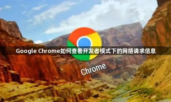 Google Chrome如何查看开发者模式下的网络请求信息1