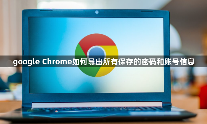 google Chrome如何导出所有保存的密码和账号信息1