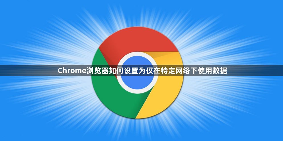 Chrome浏览器如何设置为仅在特定网络下使用数据1