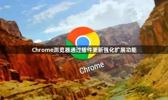 Chrome浏览器通过插件更新强化扩展功能1