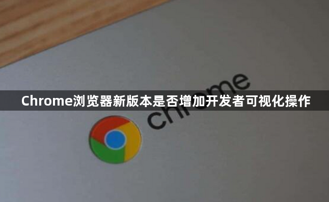 Chrome浏览器新版本是否增加开发者可视化操作1