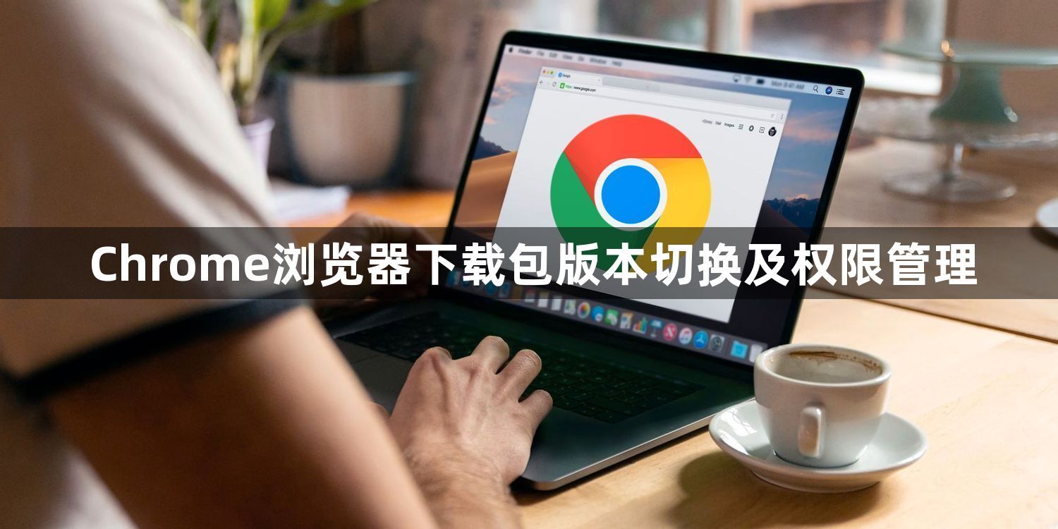 Chrome浏览器下载包版本切换及权限管理1