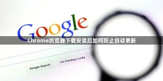 Chrome浏览器下载安装后如何防止自动更新1