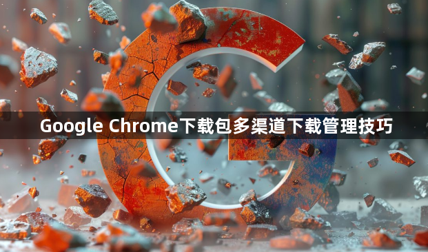 Google Chrome下载包多渠道下载管理技巧1