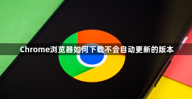 Chrome浏览器如何下载不会自动更新的版本1