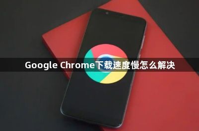 Google Chrome下载速度慢怎么解决1