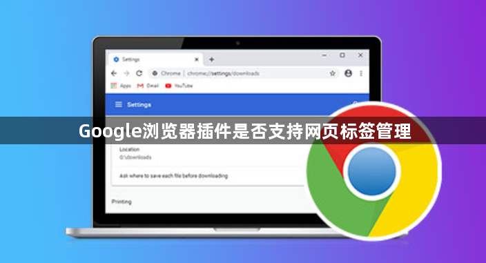 Google浏览器插件是否支持网页标签管理1
