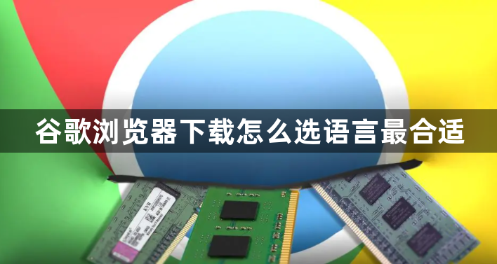 谷歌浏览器下载怎么选语言最合适1