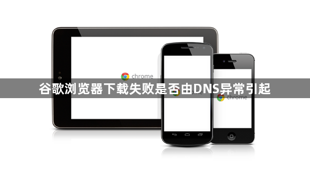 谷歌浏览器下载失败是否由DNS异常引起1