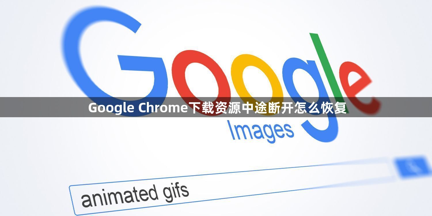 Google Chrome下载资源中途断开怎么恢复1