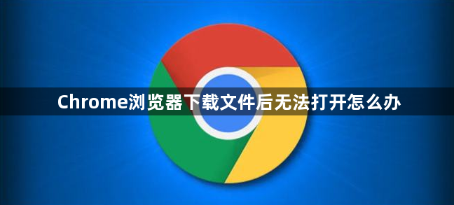 Chrome浏览器下载文件后无法打开怎么办1