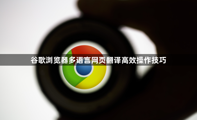 谷歌浏览器多语言网页翻译高效操作技巧1