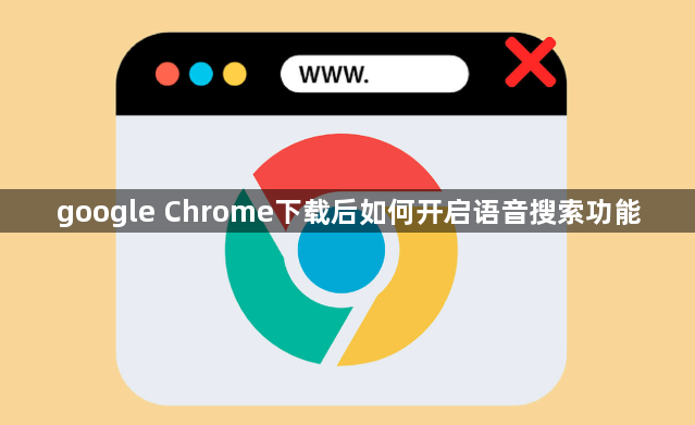 google Chrome下载后如何开启语音搜索功能1