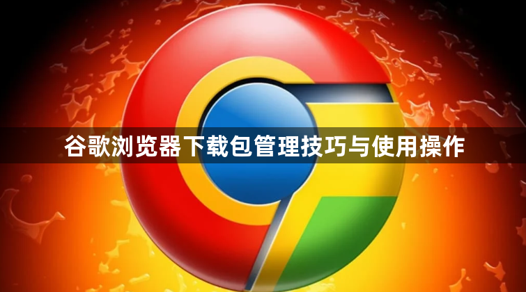 谷歌浏览器下载包管理技巧与使用操作1