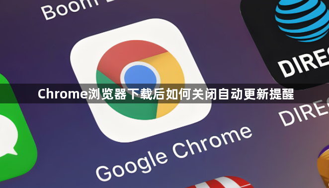 Chrome浏览器下载后如何关闭自动更新提醒1