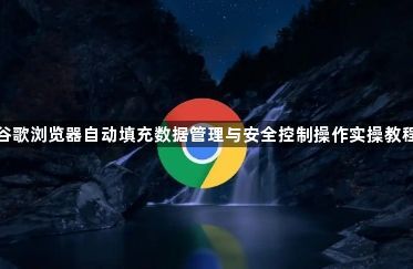 谷歌浏览器自动填充数据管理与安全控制操作实操教程1