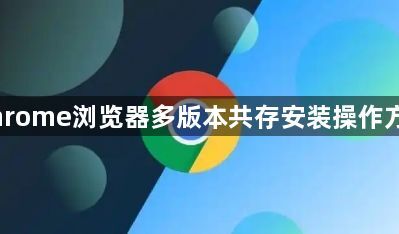 Chrome浏览器多版本共存安装操作方法1