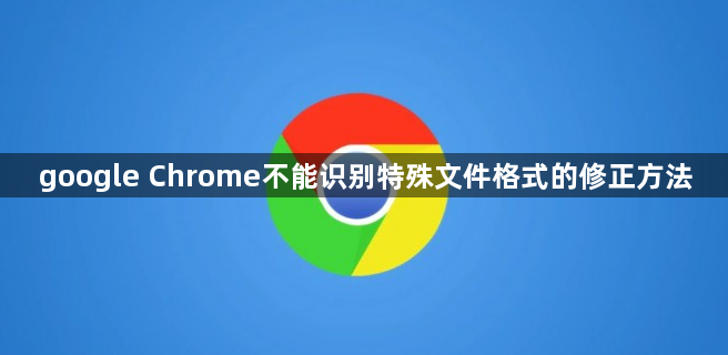 google Chrome不能识别特殊文件格式的修正方法1