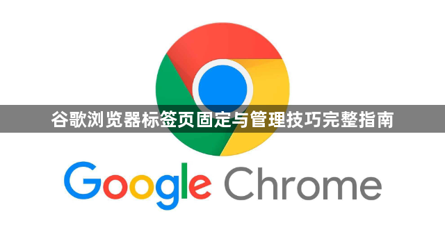 谷歌浏览器标签页固定与管理技巧完整指南1