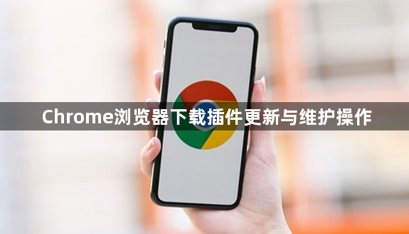 Chrome浏览器下载插件更新与维护操作1