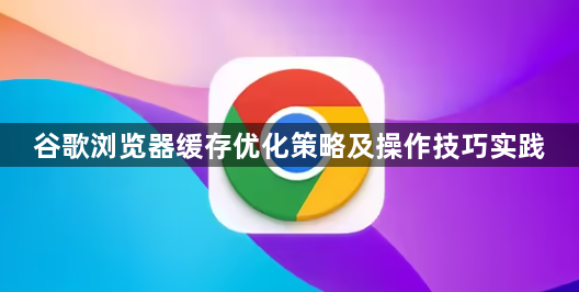谷歌浏览器缓存优化策略及操作技巧实践1