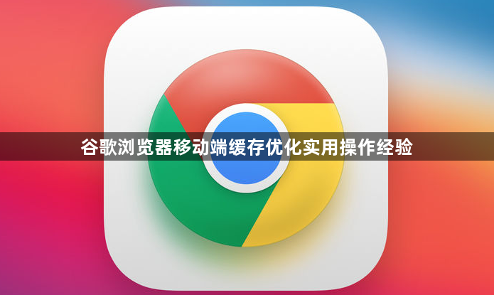 谷歌浏览器移动端缓存优化实用操作经验1